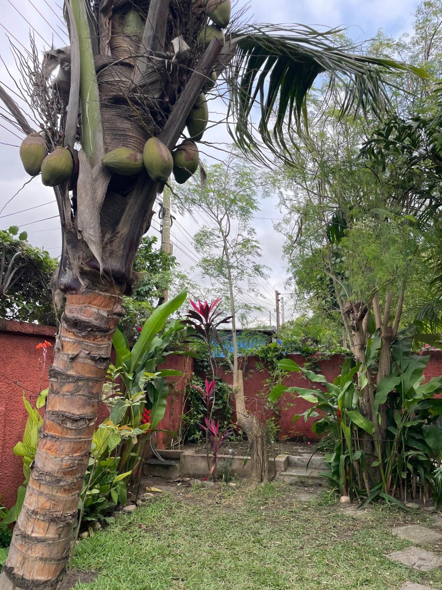 Hechtech House Apartment Accra Bagian luar foto
