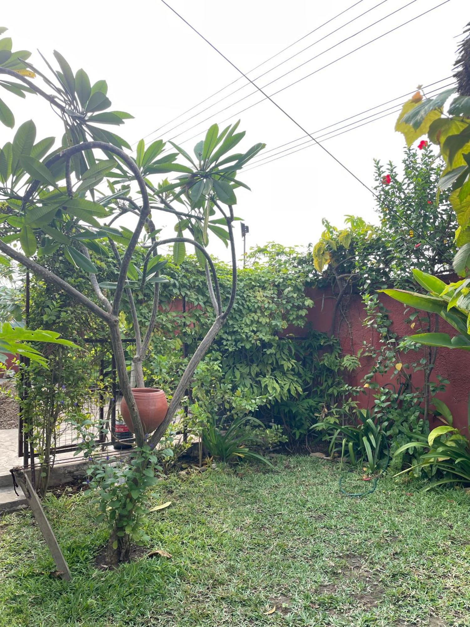 Hechtech House Apartment Accra Bagian luar foto