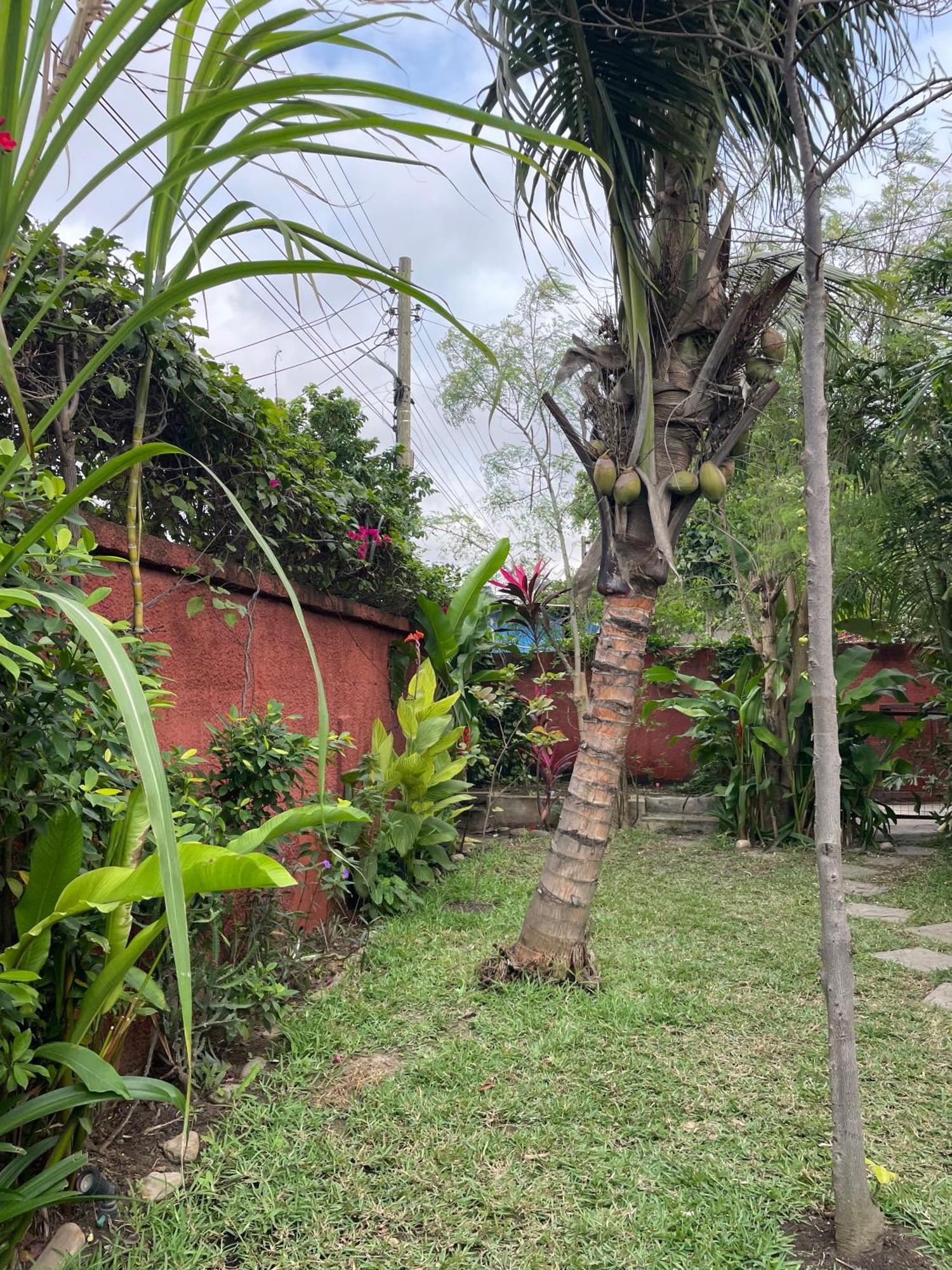Hechtech House Apartment Accra Bagian luar foto